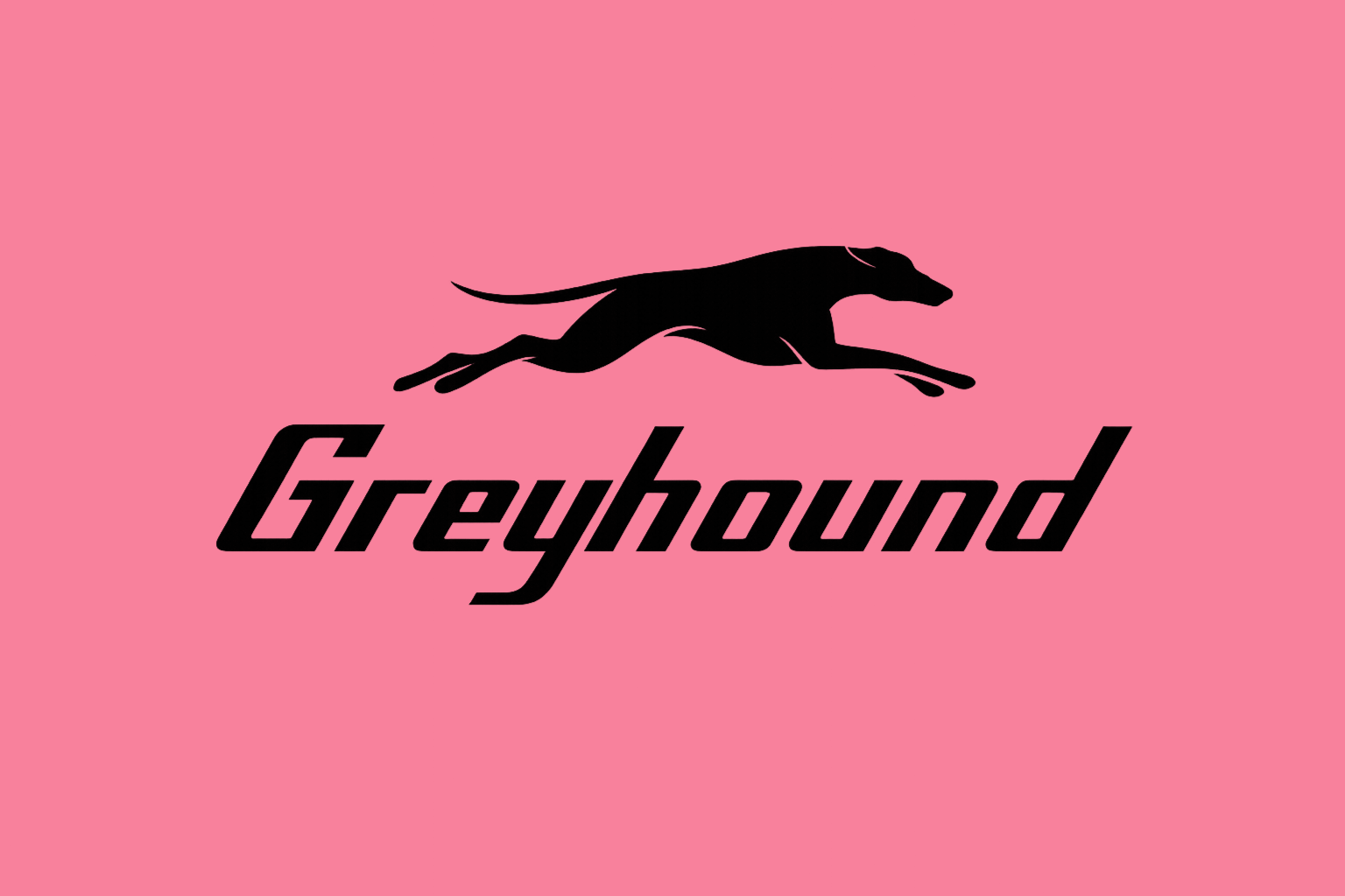 Logo on Accent background