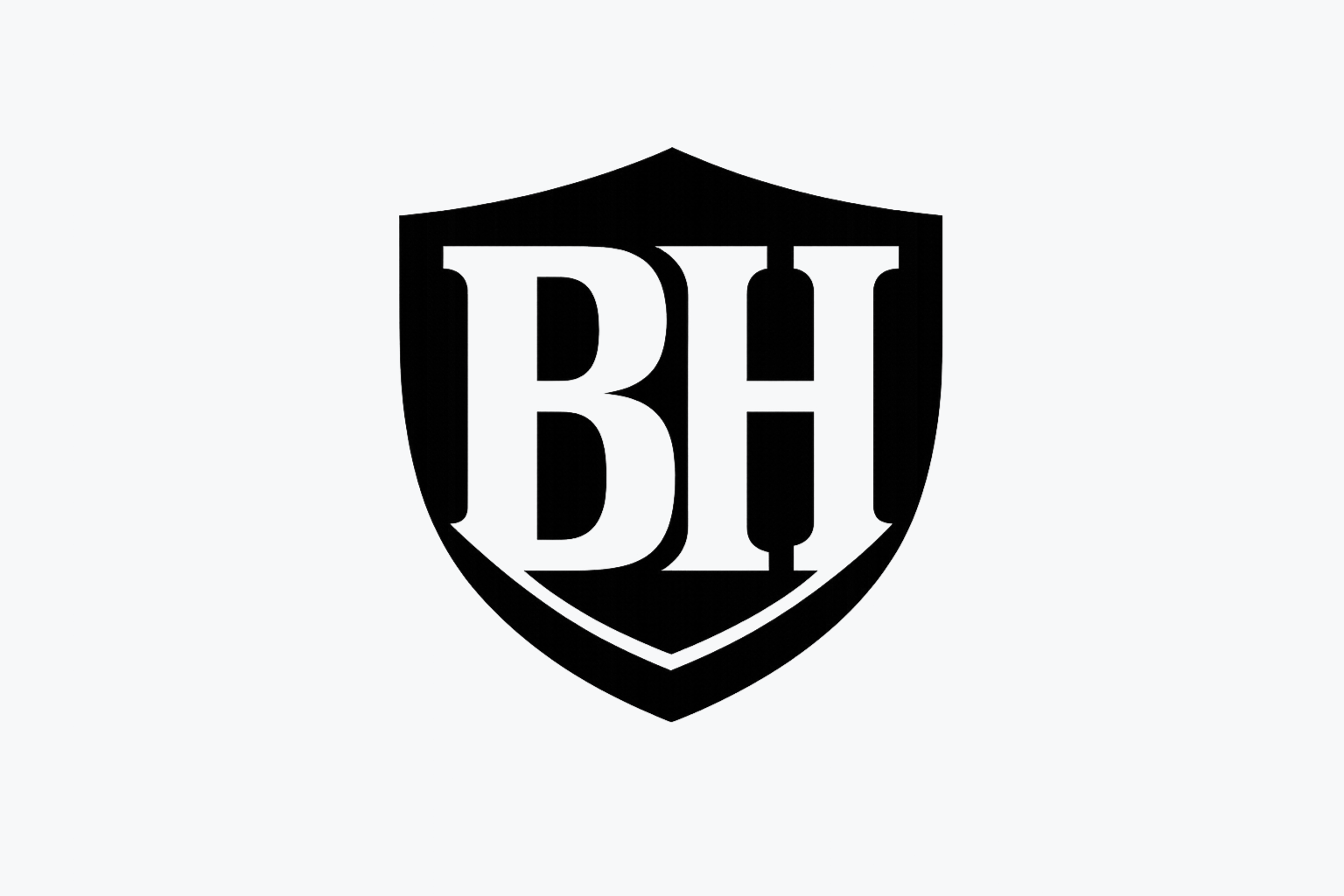 Logo on Light background